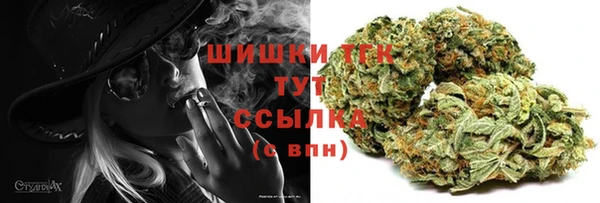 гашик Вязьма