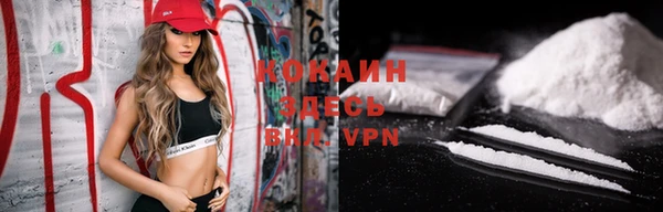 гашик Вязьма