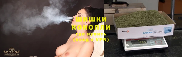 гашик Вязьма