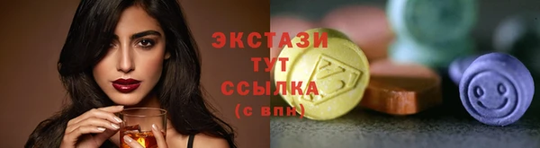 гашик Вязьма
