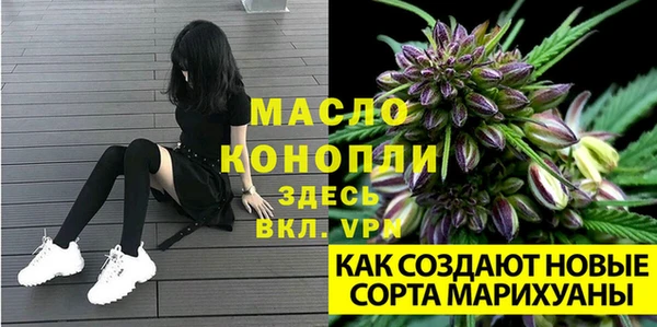 стаф Вязники