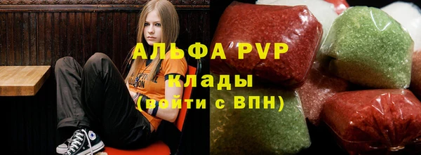 гашик Вязьма